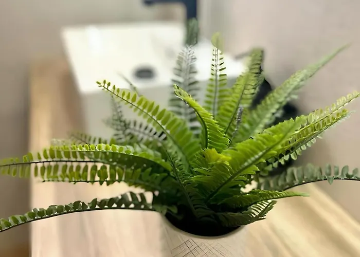 Precioso Reformado Con Vistas Directas Al Mar Apartamento Torremolinos