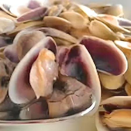 Precioso Reformado Con Vistas Directas Al Mar Apartamento Torremolinos